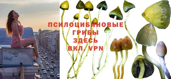 каннабис Вяземский